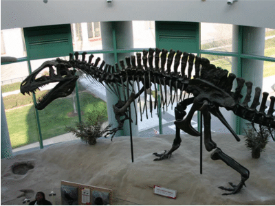 Skelett des Acrocanthosaurus / Ryan Somma. Creative Commons 2.0 Generic (CC BY-SA 2.0)