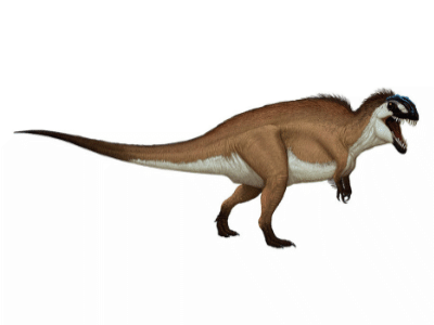 Acrocanthosaurus / © Edyta Felcyn-Kowalska. Verwendet mit freundlicher Genehmigung des Autors.