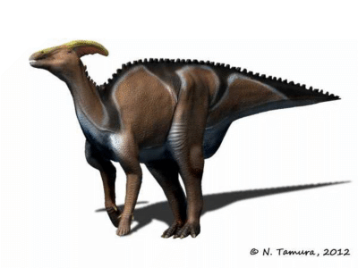 Charonosaurus / © N. Tamura. Verwendet mit freundlicher Genehmigung des Autors.