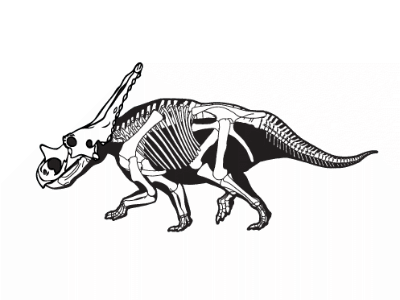 Chasmosaurus / © Sampson et al.
