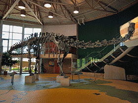 Skelett des Diplodocus / Mark Stevens. Creative Commons NonCommercial-ShareAlike 2.0 Generic (CC BY-NC-SA 2.0)