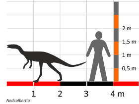 Größenvergleich / © Dinosaurier-info.de. Creative Commons 4.0 International (CC BY 4.0)