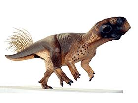 Modell des Psittacosaurus / Vinther et al. Creative Commons 4.0 International (CC BY 4.0)