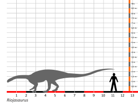 Größenvergleich © Dinodata.de. Creative Commons 4.0 International (CC BY 4.0)