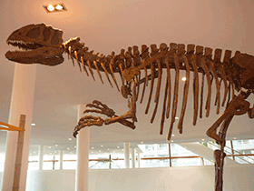 Skelett des
Yangchuanosaurus
 / Crossroads. Creative Commons NonCommercial-NoDerivs 2.0 Generic (CC BY-NC-ND 2.0)